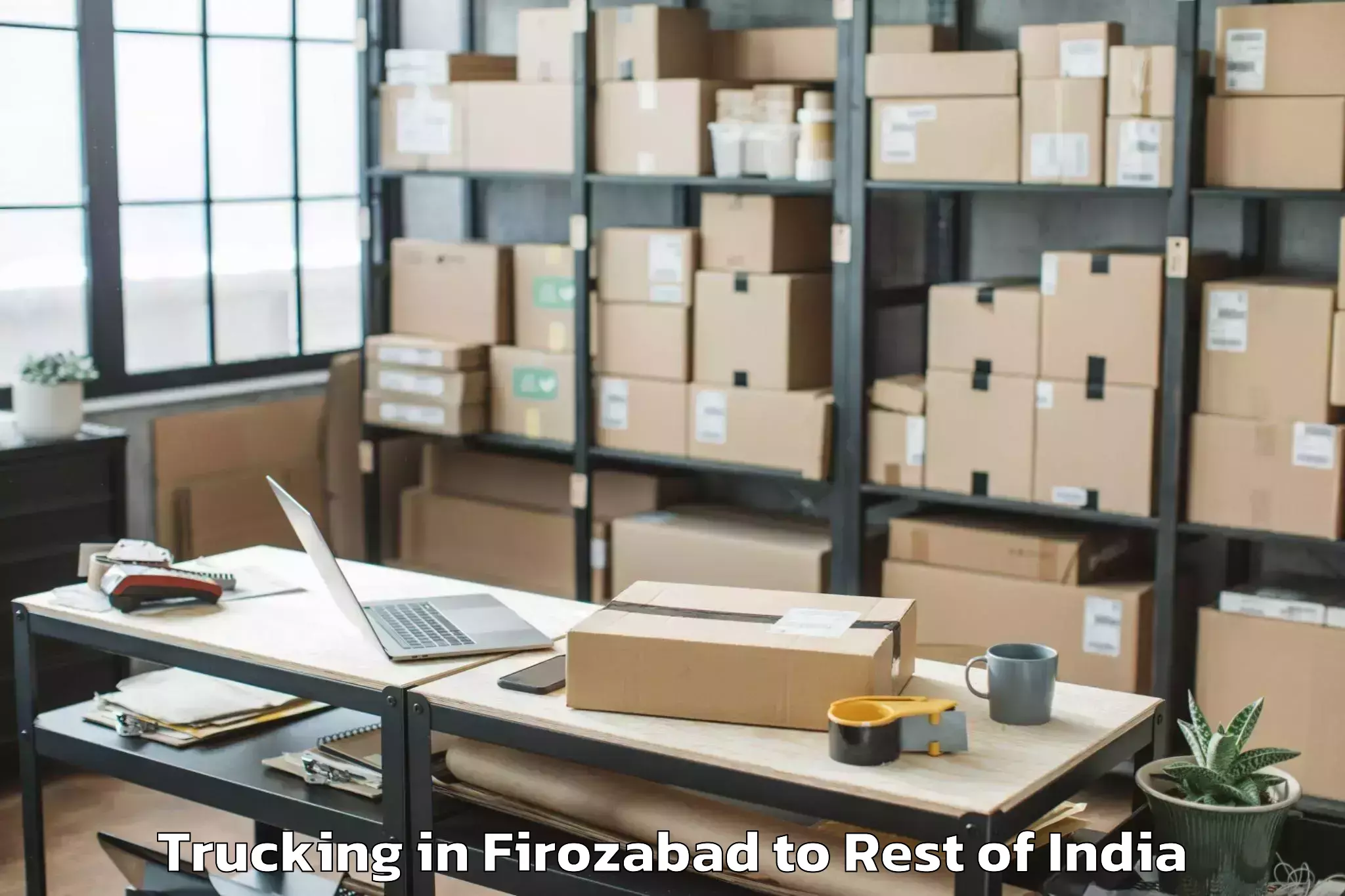 Leading Firozabad to Bairatisal Trucking Provider